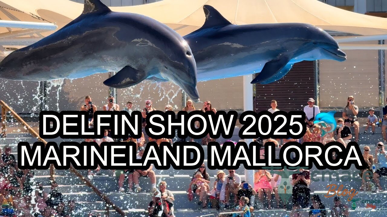 DELFIN & ROBBEN SHOWS 🐬 Marineland Mallorca 2025 | Familienausflug Costa d'en Blanes