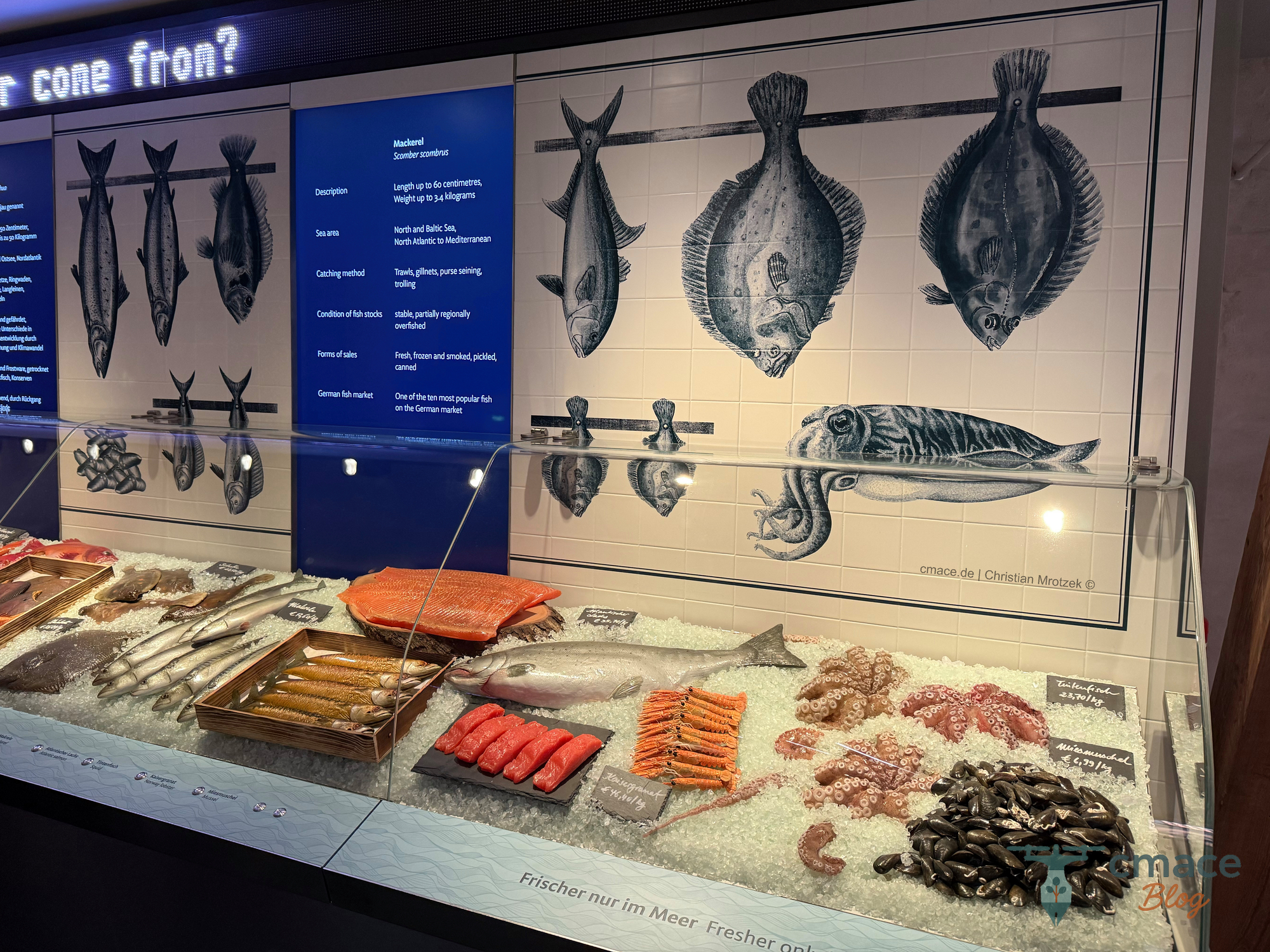 Nachgebildeter Fischverkaufsstand – „Wie kommt der Fisch auf den Teller?“