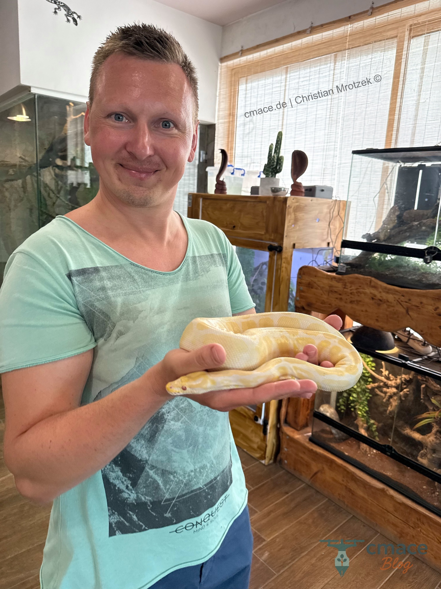 Königspython als Albino im Reptisland auf Kreta