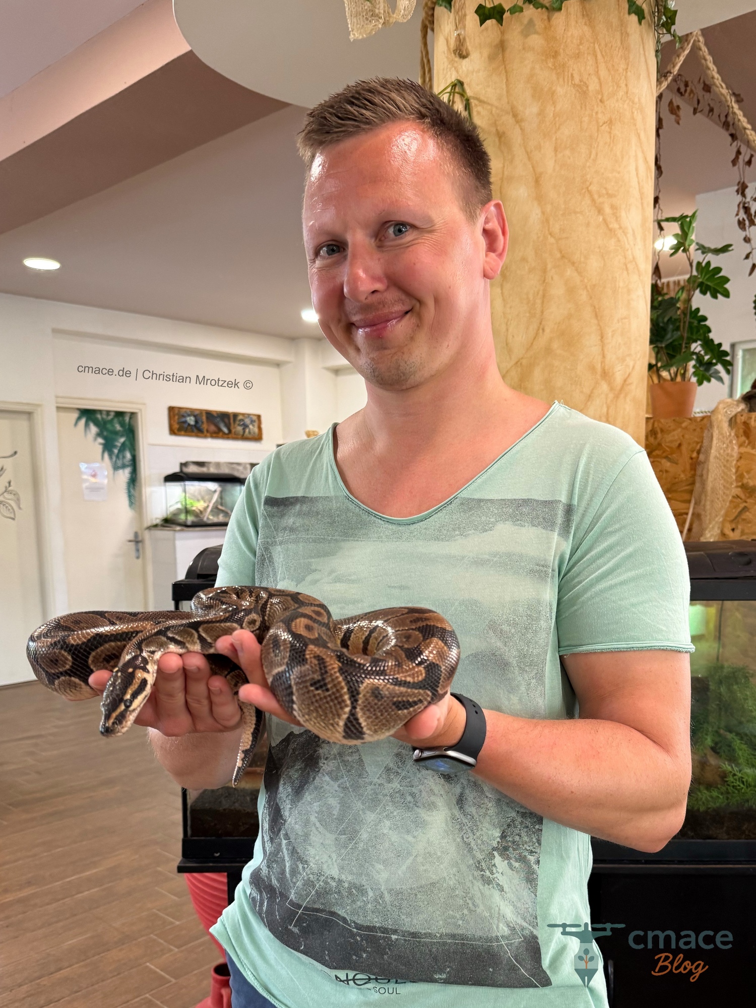 Eine Königspython im Reptisland auf Kreta
