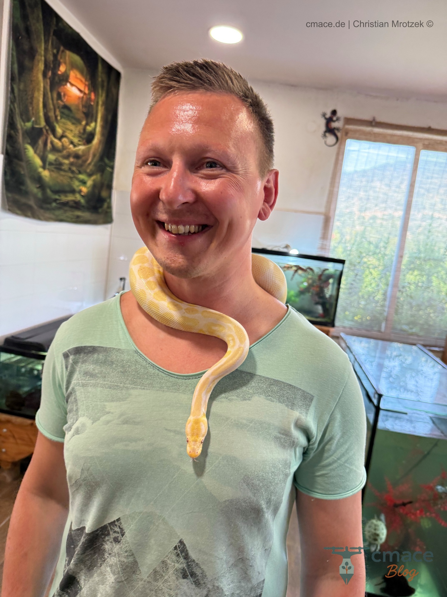 Königspython als Albino im Reptisland auf Kreta auf meinen Schultern