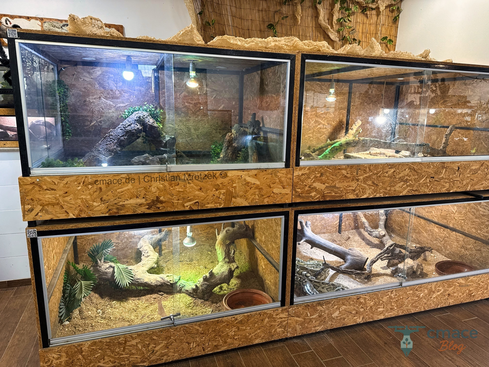 Terrarien im Reptisland auf Kreta