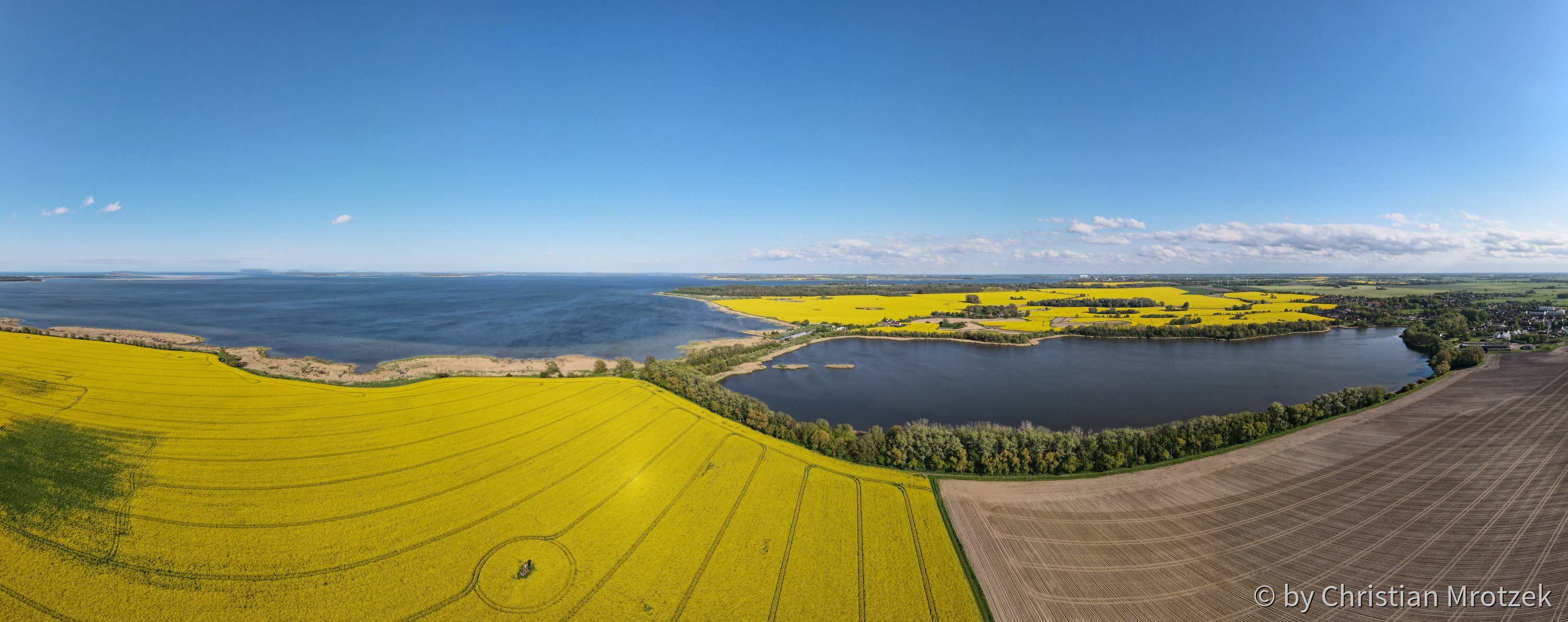 Panoramabild Rapsfelder im Mai 2021 / Prohner Stausee / Strelasund