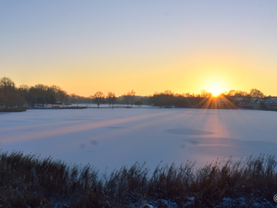 Knieperteich in Stralsund im Winter bei Sonnenuntergang 2022