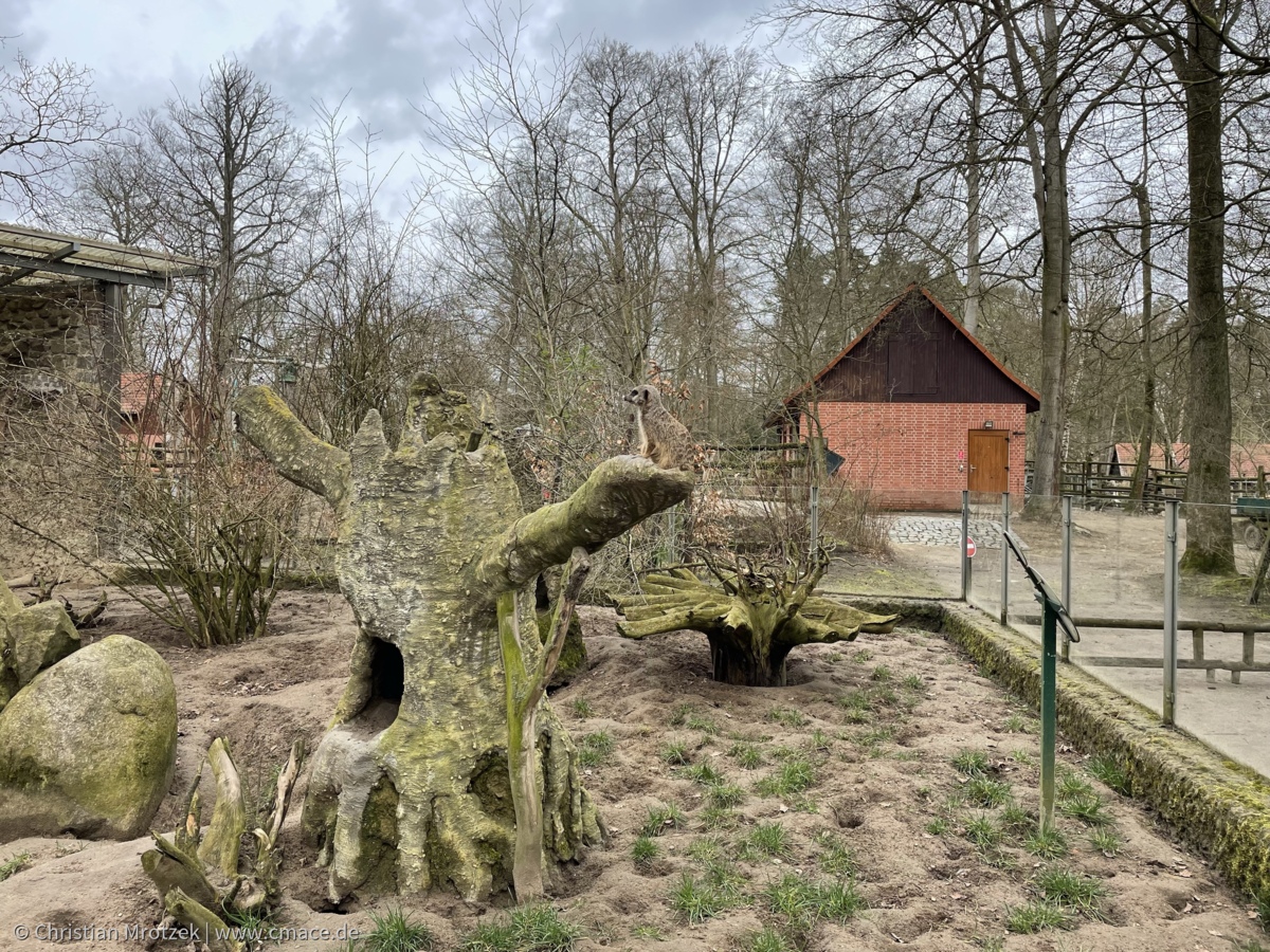 Zoo Eberswalde