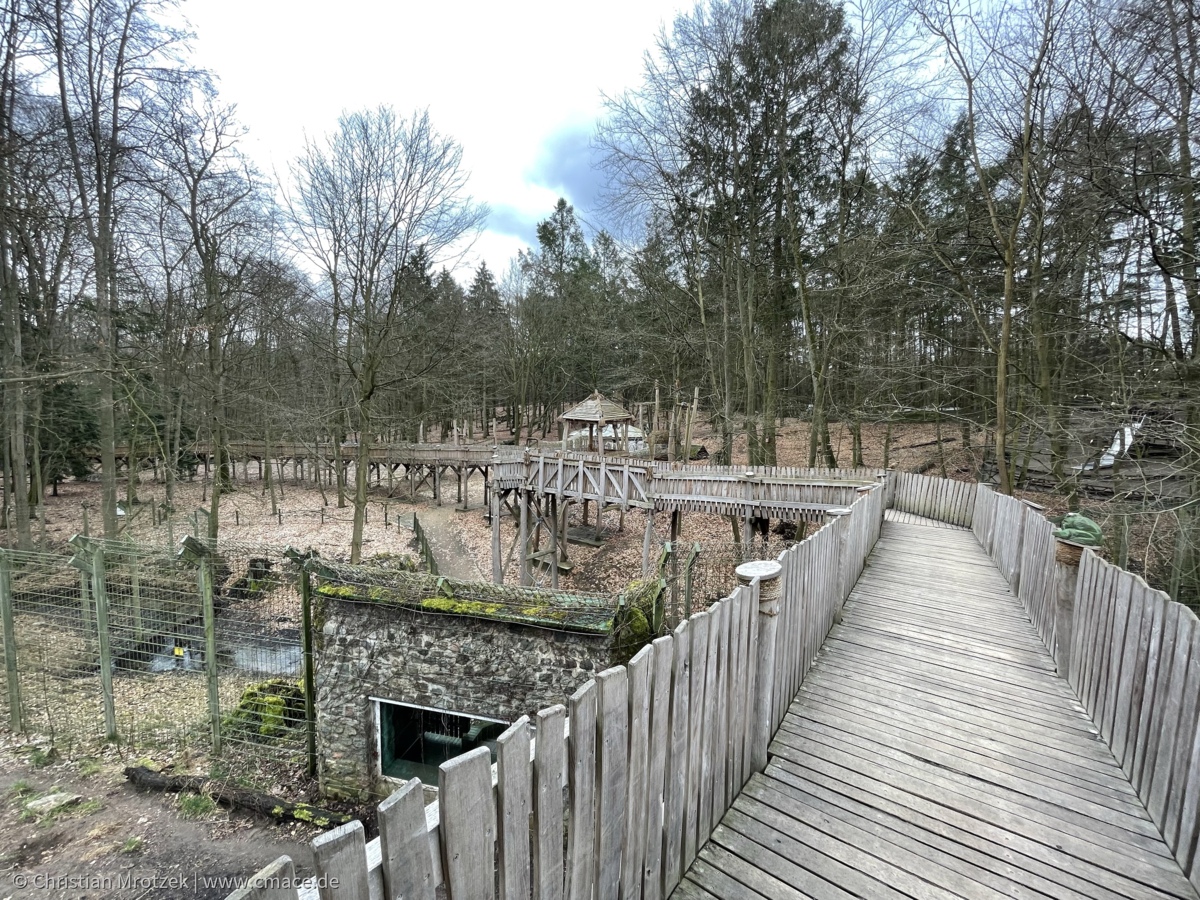 Baumwipfelpfad im Zoo Eberswalde bei den Wölfen