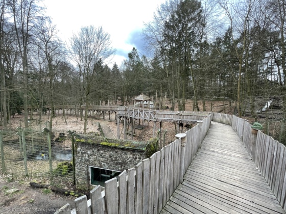 Baumwipfelpfad im Zoo Eberswalde bei den Wölfen