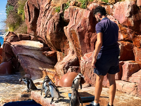 Pinguin-Fütterung im Marineland