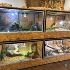 Terrarien im Reptisland auf Kreta
