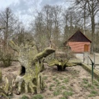 Zoo Eberswalde