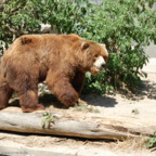 Rostock Zoo (2008)