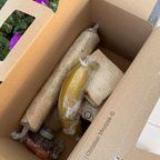 Frühstücks-Box bei Abreise