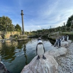 Vogelpark Marlow