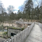 Baumwipfelpfad im Zoo Eberswalde bei den Wölfen