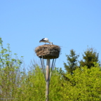 Vogelpark Marlow