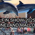 DELFIN & ROBBEN SHOWS 🐬 Marineland Mallorca 2025 | Familienausflug Costa d'en Blanes