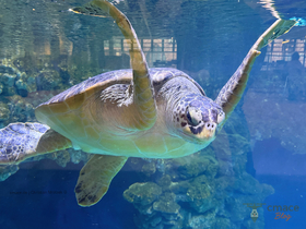 Käte – Die älteste Bewohnerin des Museums im Porträt