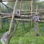 Vogelpark Marlow