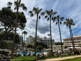 Palmen und Poollandschaft im Grupotel Parc Natural & Spa