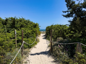 Sandweg zum Strand – Playa de Muro