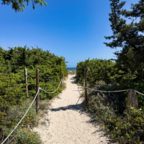 Sandweg zum Strand – Playa de Muro