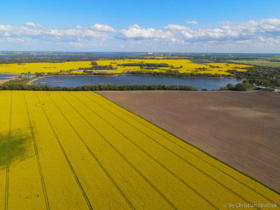 Rapsfelder im Mai 2021 / Prohner Stausee