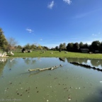 Vogelpark Marlow