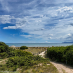 Sandweg durch die Dünen zum Strand der Playa de Muro