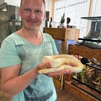 Königspython als Albino im Reptisland auf Kreta