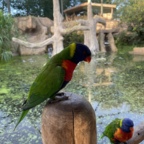 Vogelpark Marlow