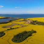 Rapsfelder im Mai 2021 / Prohner Stausee / Strelasund