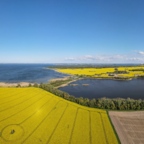 Panoramabild Rapsfelder im Mai 2021 / Prohner Stausee / Strelasund