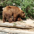 Rostock Zoo (2008)