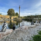 Vogelpark Marlow