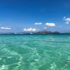 Im klaren Wasser der Bucht von Alcúdia