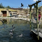 Vogelpark Marlow