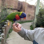 Vogelpark Marlow