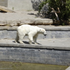 Rostock Zoo (2008)