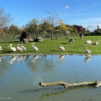 Vogelpark Marlow