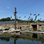 Vogelpark Marlow