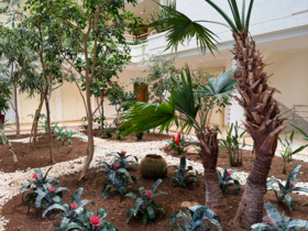 Indoor-Garten im Atrium von Haus 3