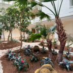 Indoor-Garten im Atrium von Haus 3